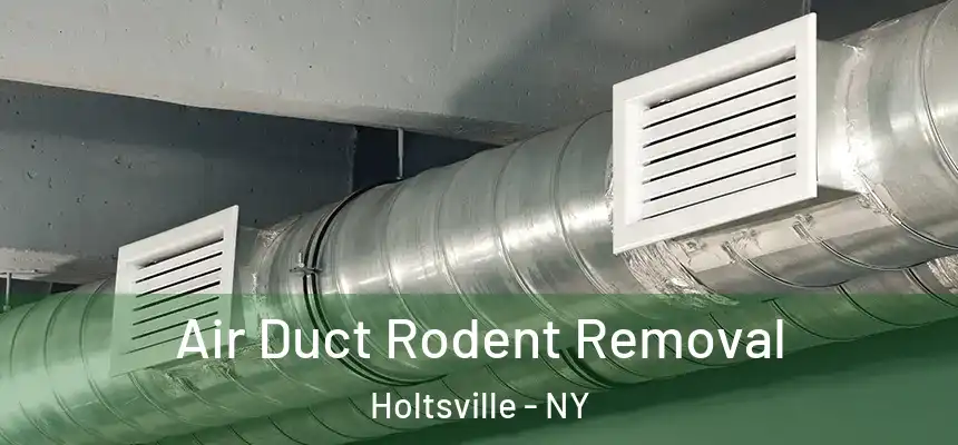 Air Duct Rodent Removal Holtsville - NY