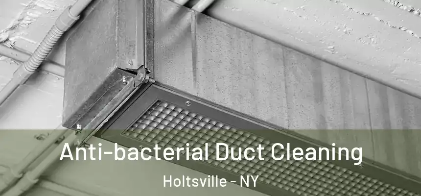 Anti-bacterial Duct Cleaning Holtsville - NY