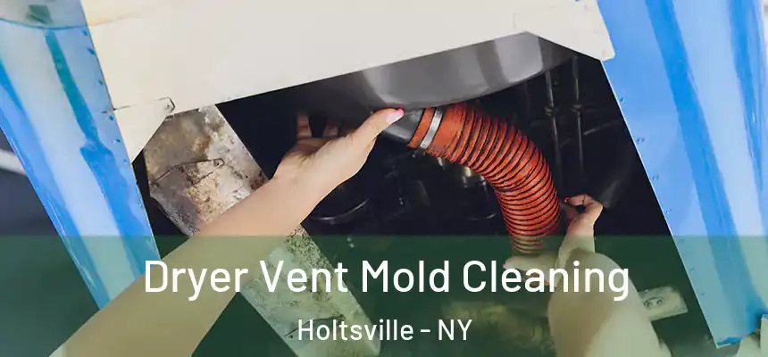  Dryer Vent Mold Cleaning Holtsville - NY