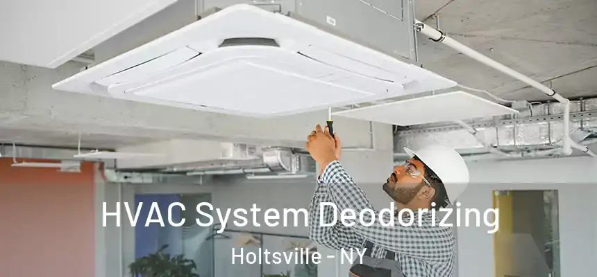 HVAC System Deodorizing Holtsville - NY