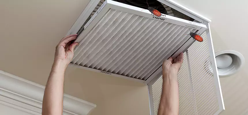 Preventive Cockroach-Proofing for Ducts in Holtsville