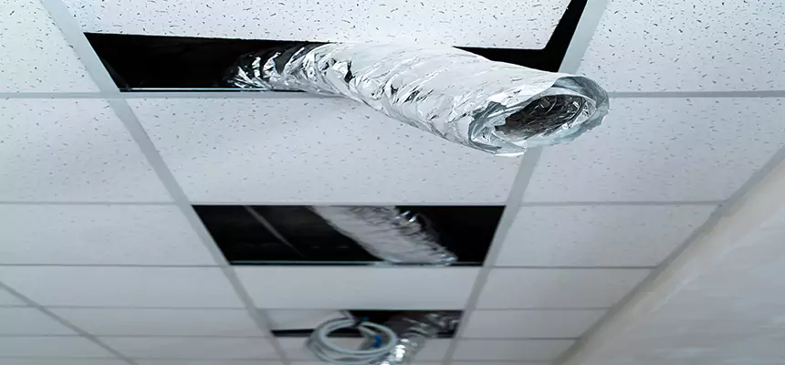 Our Air Duct Pet Hair Removal Services in Holtsville, NY