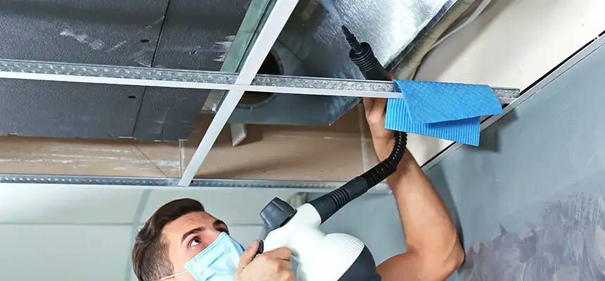Our Air Duct Rodent Removal Services in Holtsville, NY