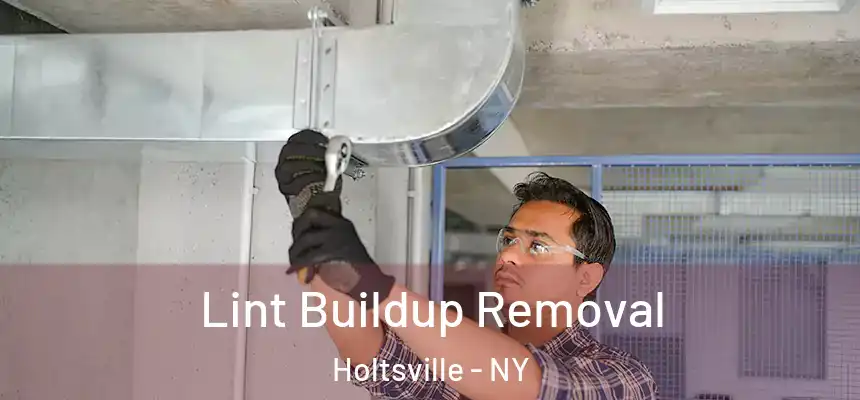 Lint Buildup Removal Holtsville - NY