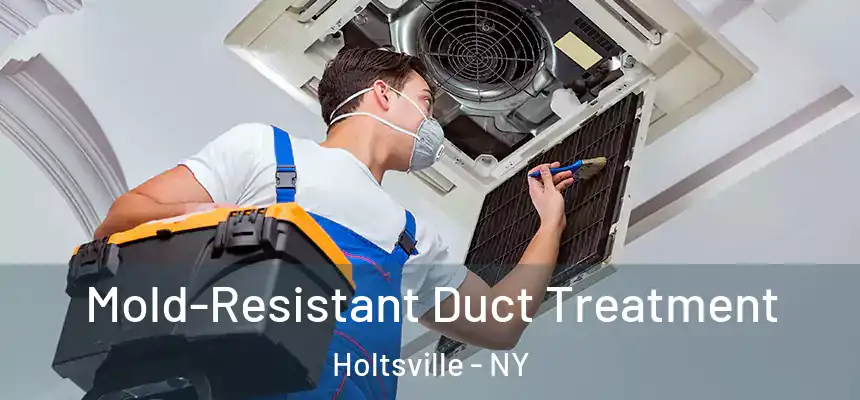  Mold-Resistant Duct Treatment Holtsville - NY