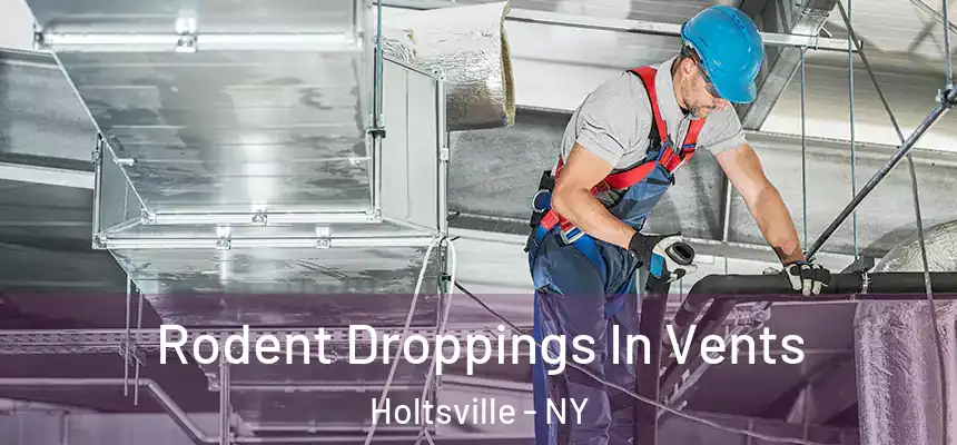 Rodent Droppings In Vents Holtsville - NY