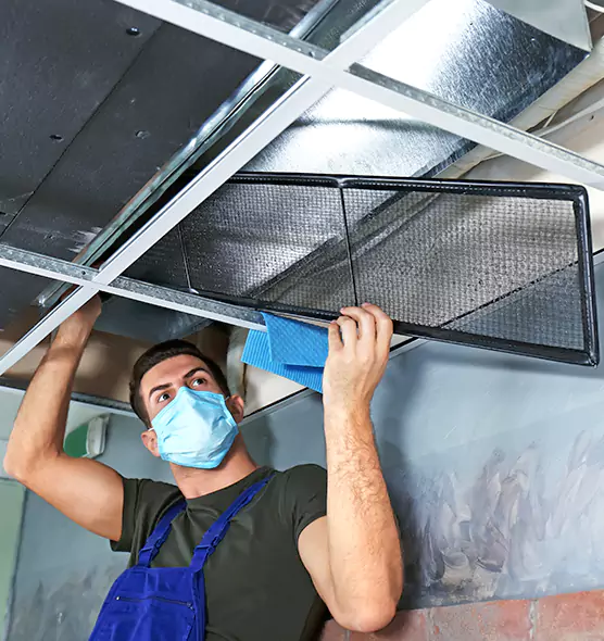 About Air Duct Bacteria Removal in Holtsville
