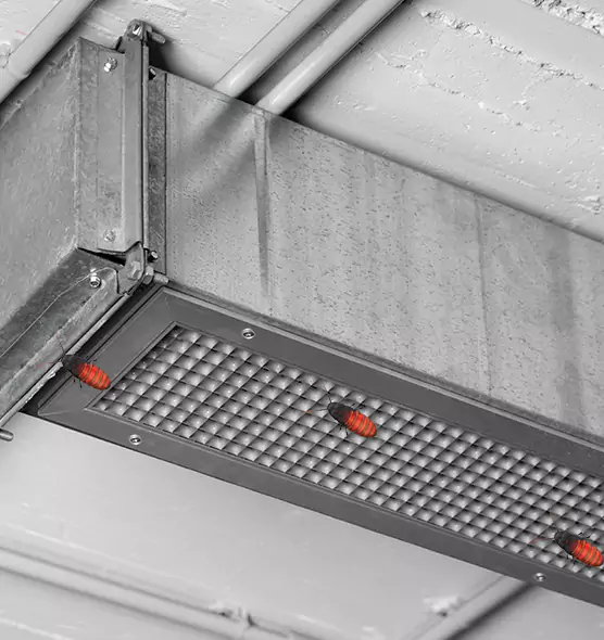 About Air Duct Cockroach Removal in Holtsville, NY