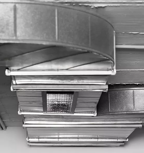 Professional Air Duct Pest Removal in Holtsville, NY