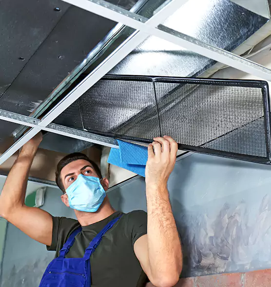 Professional Air Duct Pollen Cleaning in Holtsville, NY