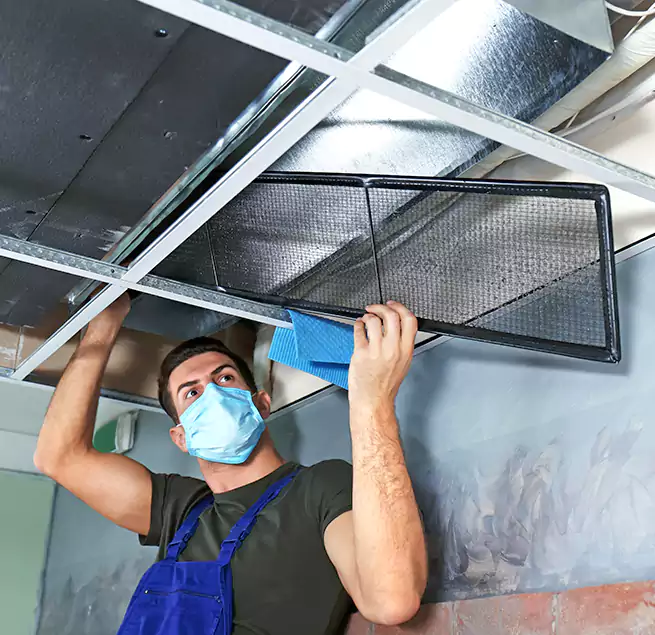 Why Homeowners Businesses Trust Us in Holtsville, NY