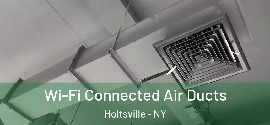  Wi-Fi Connected Air Ducts Holtsville - NY